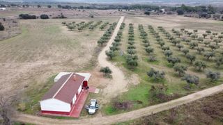 ALQUILER CASA Y FINCA 54000m CON AGUA Y LUZ