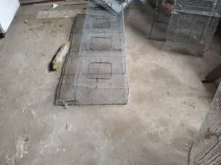 Jaula artesanal para codornices dos jaulas