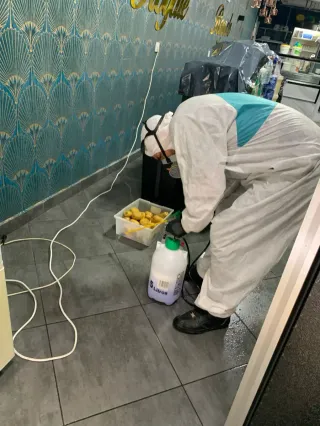 Fumigación de plagas (cucarachas, chinches, etc)