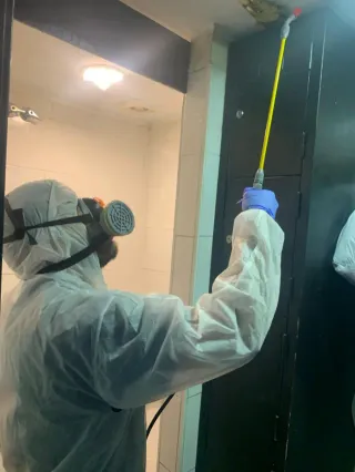 Fumigación de plagas (cucarachas, chinches, etc)