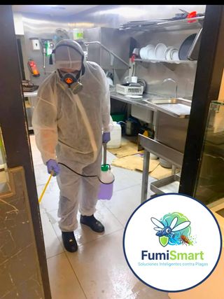 Fumigación de plagas (cucarachas, chinches, etc)