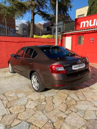 Skoda Octavia 1.6 TDI CR 81KW (110cv) DSG CR Ambition