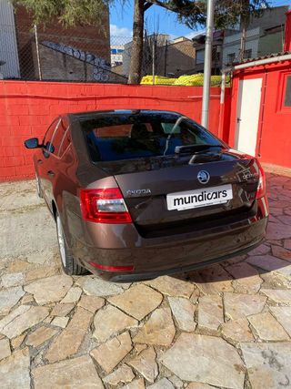 Skoda Octavia 1.6 TDI CR 81KW (110cv) DSG CR Ambition