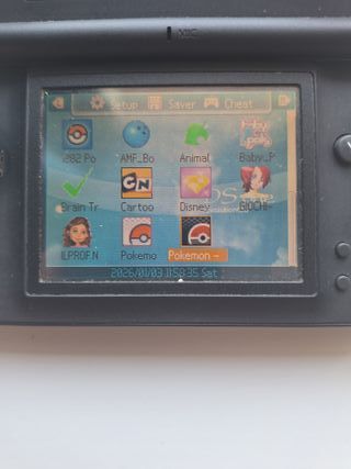 SuperCard DS ONE + microSD 2GB