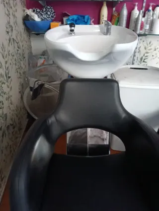 2 Lavacabezas profesional