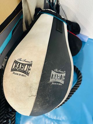 Sacos de boxeo profesionales