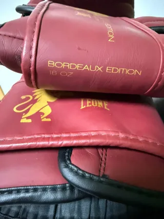 Guantes Boxeo Leone 16 oz