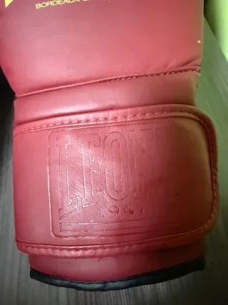 Guantes Boxeo Leone 16 oz