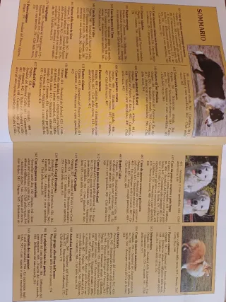 La Grande Enciclopedia del Cane