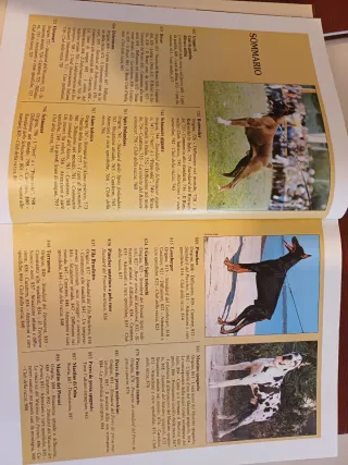 La Grande Enciclopedia del Cane