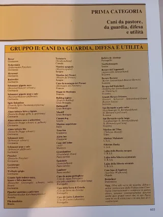 La Grande Enciclopedia del Cane