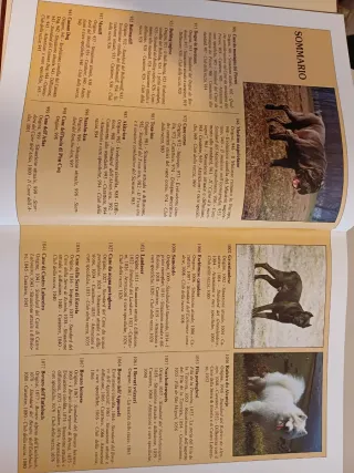 La Grande Enciclopedia del Cane