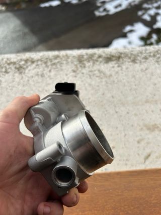 Mariposa de admisión