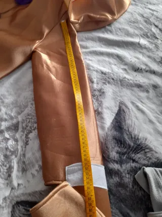 Disfraz Galleta de Jengibre Talla Única