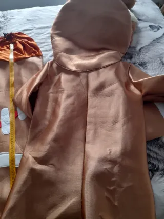 Disfraz Galleta de Jengibre Talla Única