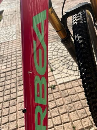 Orbea Oiz M10 Custom de MYO.Carbono TR Fox 120mm.