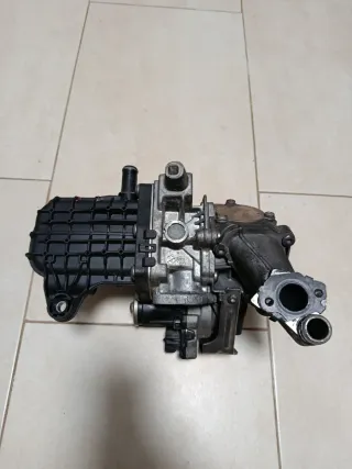 Módulo EGR