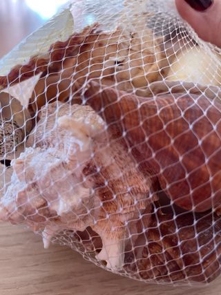 Decoración pecera conchas