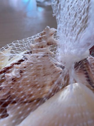 Decoración pecera conchas