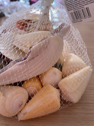 Decoración pecera conchas