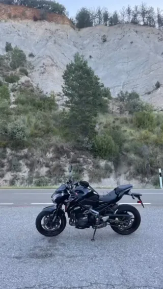 Kawasaki Z900 A2 2018