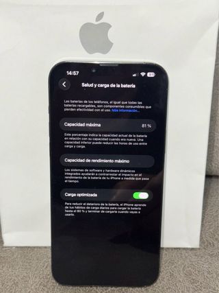 iPhone 13 Pro Max "1TB" con fattura