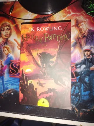 Harry Potter y la piedra filosofal (Harry Potte...