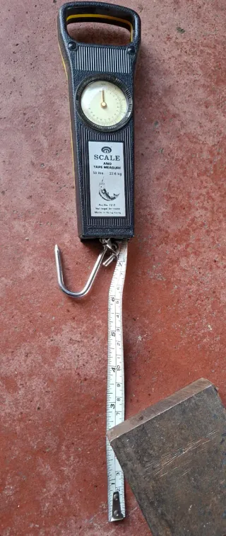 Bilancia con gancio 50 lbs / 22.6 kg