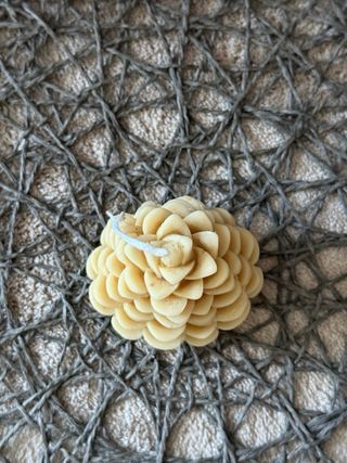 Candele di cera naturale 100% di opercolo (sigillo)