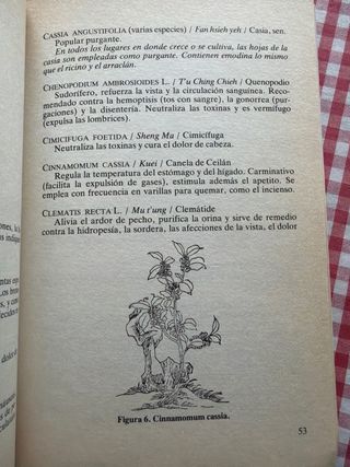 Todos los Metodos de curacion chinos