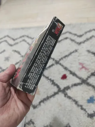 Zelda Link's Awakening DX per Game Boy Color