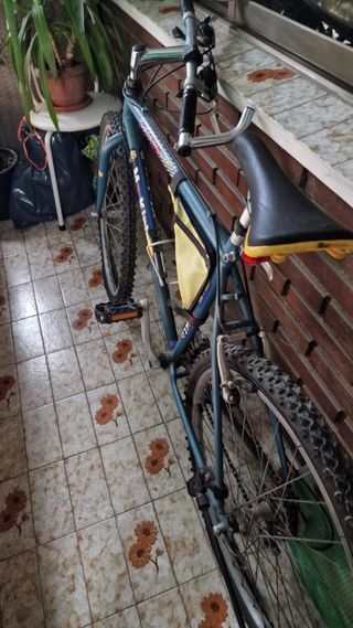 Bicicleta de montaña azul.