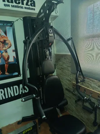 Vendo Máquina de gimnasio Inspire M2