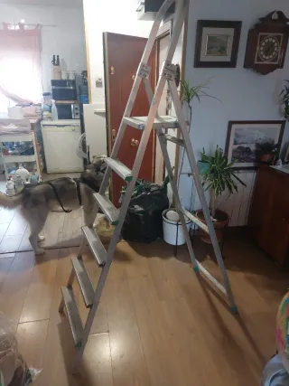 Escalera aluminio 6 peldaños