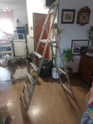 Escalera aluminio 6 peldaños