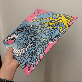 Twenty One Pilots Scaled And Icy Vinyl