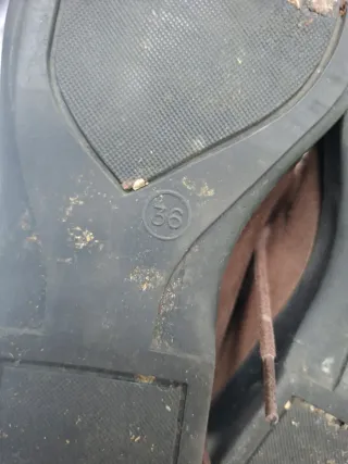 Botín mujer ante marrón