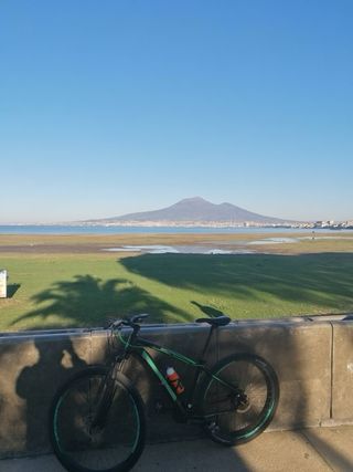 Bici Adriatica Taglia 29