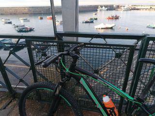 Bici Adriatica Taglia 29