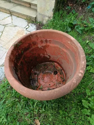 Macetero grande de plástico