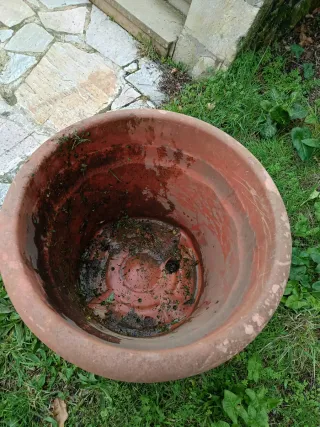 Macetero grande de plástico