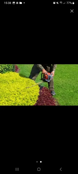 Jardinero