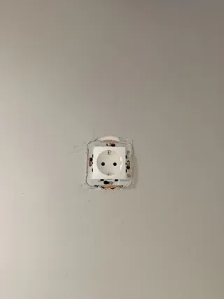 Electricista Profesional y Pintor