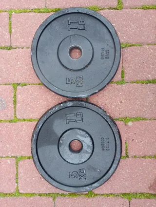 2 Pesas 5kg (11lb) Hierro Fundido