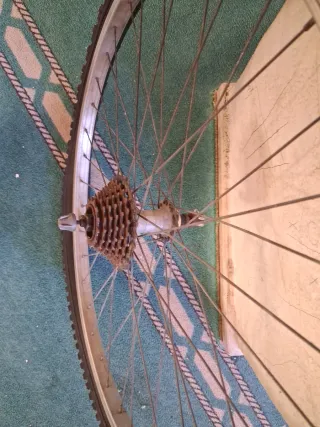 Rueda de bicicleta con piñones