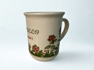 Juego 7 Tazas Cerámica Biltons Hierbas