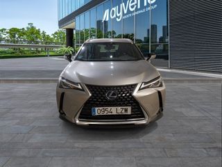 Lexus UX 250h Business 2WD 135 kW (184 CV)