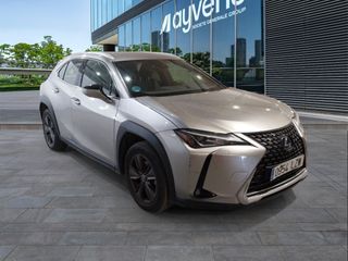 Lexus UX 250h Business 2WD 135 kW (184 CV)