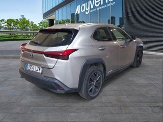 Lexus UX 250h Business 2WD 135 kW (184 CV)