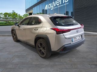Lexus UX 250h Business 2WD 135 kW (184 CV)